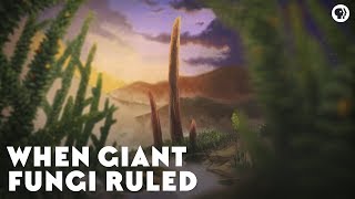 When Giant Fungi Ruled [upl. by Skipton]