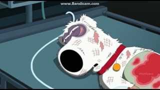 Family Guy  Season 12 Episode 3  Brians Death [upl. by Uriah]