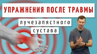 ЛФК после травмы лучезапястного сустава  Упражнения после снятия гипса [upl. by Amles993]