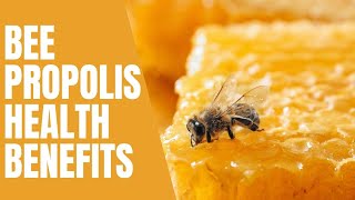 Bee Propolis and its Amazing Health Benefits [upl. by Ardnuat]