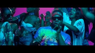 Maleek Berry  Eko Miami ft Geko Official Video [upl. by Eetak613]