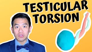 Testicular Torsion  What To Do About This Urologic Emergency [upl. by Atilemrac]