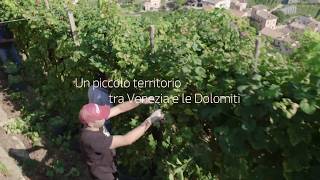 Colline del Prosecco di Conegliano e Valdobbiadene Patrimonio dellUmanità UNESCO [upl. by Braun571]