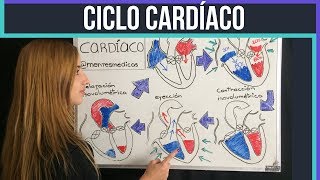 CICLO CARDÍACO ¡fácil explicación  Mentes Médicas [upl. by Suiluj707]