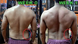 How to Lose Love Handles in 1 Week  3 Easy Exercise [upl. by Ormand]