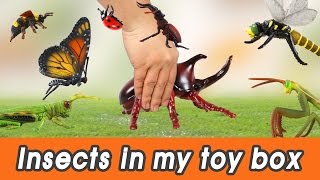 EN 57 Insects in my toy box kids education Dinosaurs animationㅣCoCosToy [upl. by Teiluj]