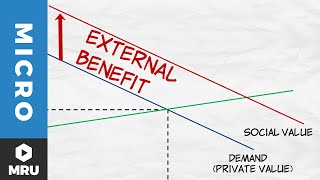 External Benefits [upl. by Buyers692]