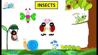 CBSE Class 4 Science Insects [upl. by Alehs]