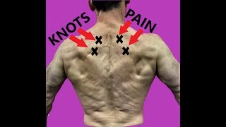 Rhomboid Pain Relief Exercises To Fix Your Upper Back [upl. by Ashwell394]