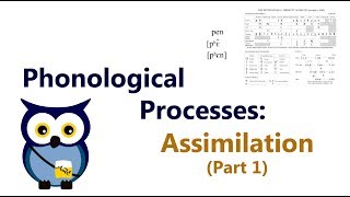 Phonological Processes Assimilation Part 1 [upl. by Scutt885]