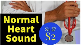 Normal S1 and S2 Heart Sounds With Explanation [upl. by Lansing]