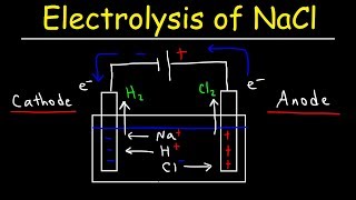 Electrolysis of Sodium Chloride  Electrochemistry [upl. by Lebatsirhc201]