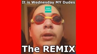 It is Wednesday My Dudes Official REMIX [upl. by Adah]