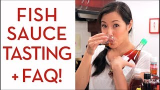 Ultimate Guide to FISH SAUCE  Hot Thai Kitchen [upl. by Eveleen]