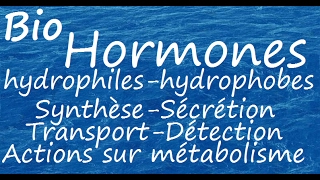 Hormones hydrophiles et hydrophobes [upl. by Isac]