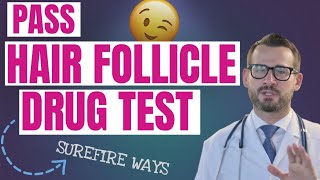 Guaranteed Ways to Pass a Hair Follicle Drug Test  Green Fleets [upl. by O'Carroll]