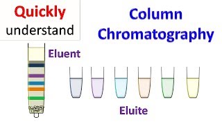 Column chromatography [upl. by Madelin]