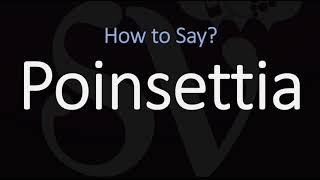 How to Pronounce Poinsettia CORRECTLY [upl. by Behlke847]