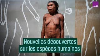 Origine des hommes  lenjeu des récentes découvertes avec JeanJacques Hublin  CulturePrime [upl. by Haet]