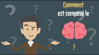 2  Composition 12  Comment est composé le cerveau   Cerveau mode demploi [upl. by Notsuoh280]