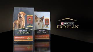 Purina Pro Plans New Dog amp Cat Food Packaging Design [upl. by Enom929]