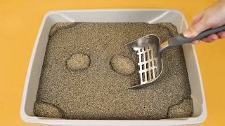 How to Use ARM amp HAMMER™ SLIDE™ Cat Litter [upl. by Hewet]