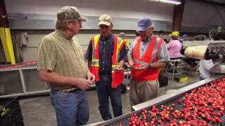 Washington Cherry Harvest  Americas Heartland [upl. by Dahc]