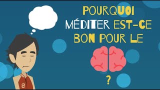 10  Méditation 13  Pourquoi méditer est ce bon pour le cerveau [upl. by Atiruam]