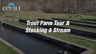 Cobalt Trout Farm Tour and Stocking A Stream [upl. by Acessej]