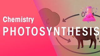 Photosynthesis amp Respiration  Reactions  Chemistry  FuseSchool [upl. by Akeenahs]