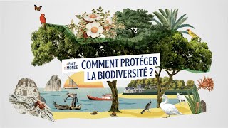 Comment protéger la planète   La Face du monde  Lumni [upl. by Diamante]