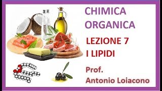 CHIMICA ORGANICA  Lezione 7  I Lipidi [upl. by Parfitt]