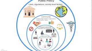 Intro to the Ecological Model [upl. by Bernadene]