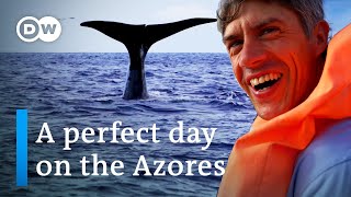 Discover the Azores  A perfect Day on the Azores  Best things to do on the Azores [upl. by Verdi]