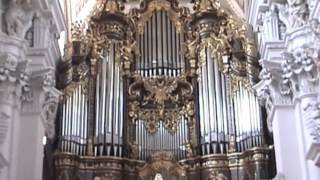 The Largest Cathedral Organ [upl. by Behnken307]