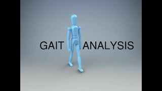 Gait Analysis and the Gait Cycle [upl. by Harima929]