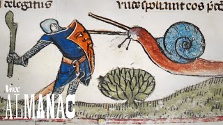 Why knights fought snails in medieval art [upl. by Oilicec]