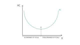 C5 Economies of scale  Cost  Microeconomics [upl. by Dust]