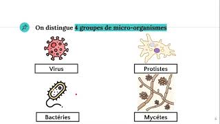 Les microorganismes 🦠 [upl. by Arenahs]