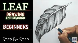 HOW TO DRAW AND SHADE A LEAF  Step By Step [upl. by Atilef293]