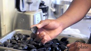 How to Clean Mussels [upl. by Myriam]