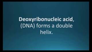 How to pronounce deoxyribonucleic acid DNA Pharmcabulary for Memorizing Pharmacology Flashcard [upl. by Yaja40]