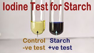 Iodine Test For Starch Practical Experiment [upl. by Dahsar]