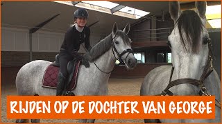 OP BEZOEK BIJ GEORGES DOCHTER  PaardenpraatTV [upl. by Ivers]