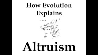 How Evolution Explains Altruism [upl. by Simona]