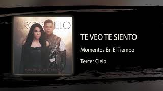 Te Veo Te Siento  Tercer Cielo  Audio Oficial [upl. by Nader448]