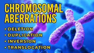 Chromosomal Aberrations  Deletion  Duplication  Inversion  Translocation [upl. by Gnaig777]