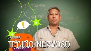 TECIDO NERVOSO  HISTOLOGIA  BIOLOGIA [upl. by Reseda]