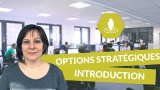 Les options stratégiques  introduction  Management  digiSchool [upl. by Yahsed]