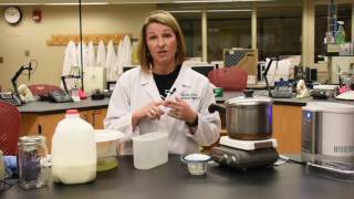 How to Make Yogurt from Fermented Milk [upl. by Wamsley354]